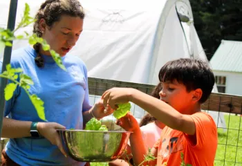 image of y staff and boy harvesting vegetables in the garden