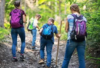 image of four people hiking