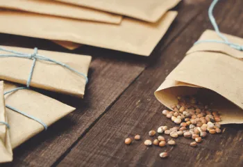 packets of gardening seeds