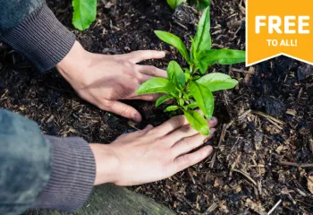 Spring Planting Volunteer Day! | MetroWest YMCA