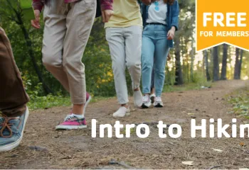 Come join us for a hike in the woods!