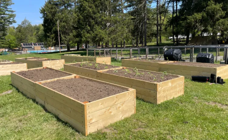 image of outdoor raised garden beds