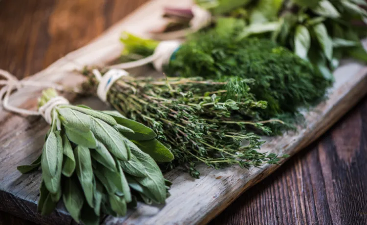 bunches of different herbs laying on wooden table
