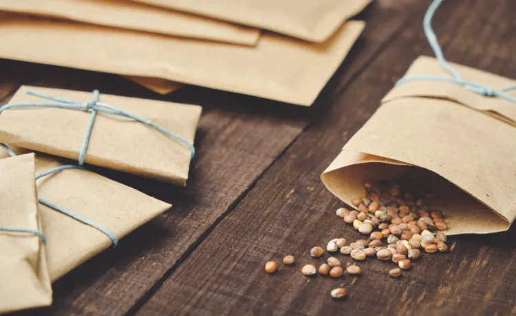 packets of gardening seeds