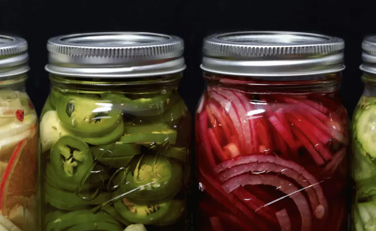 Pickling Workshop!