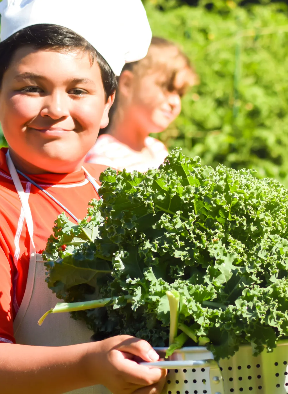 Expanding food access and education