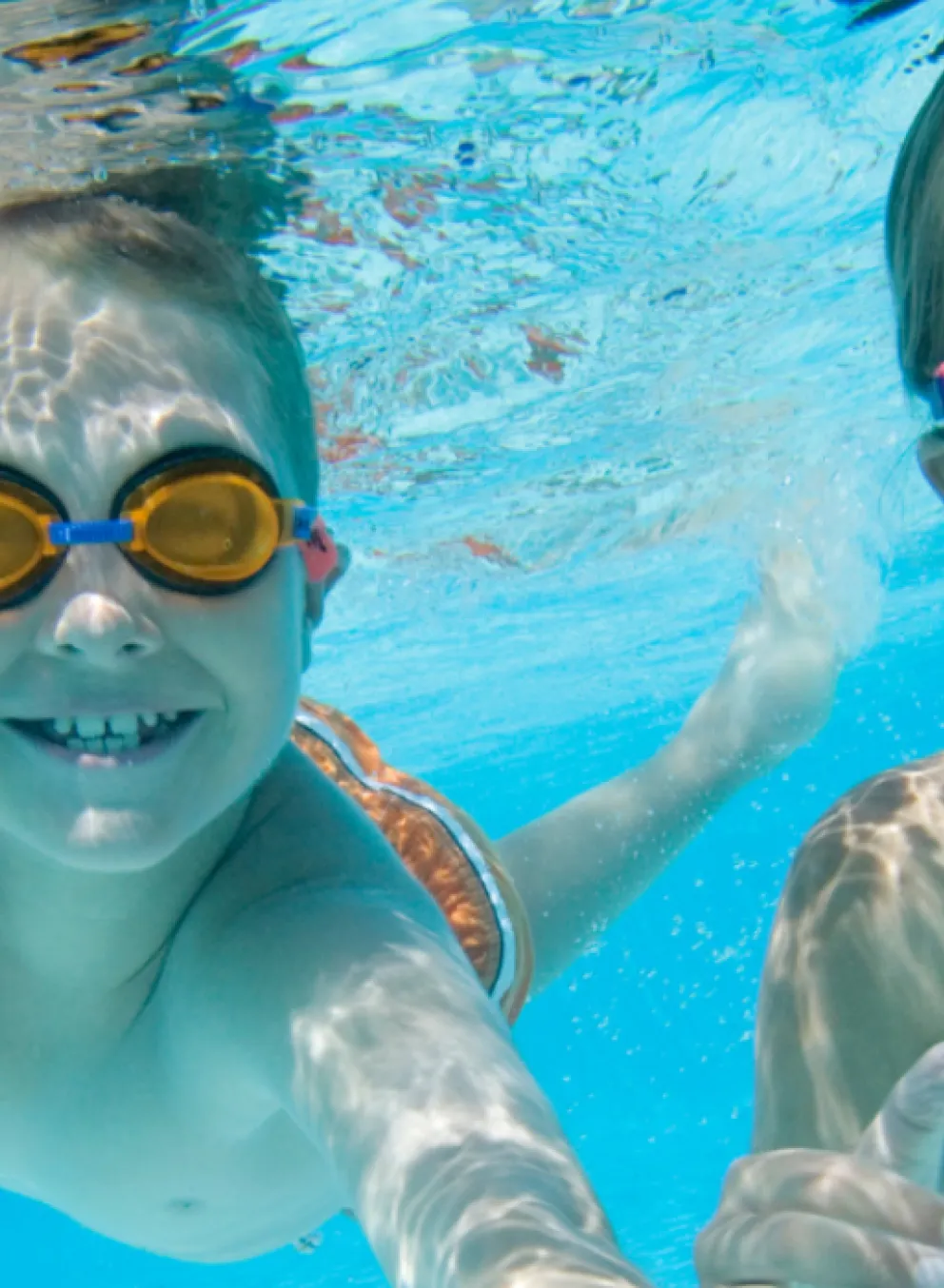 Summer Clearbrook Banner
