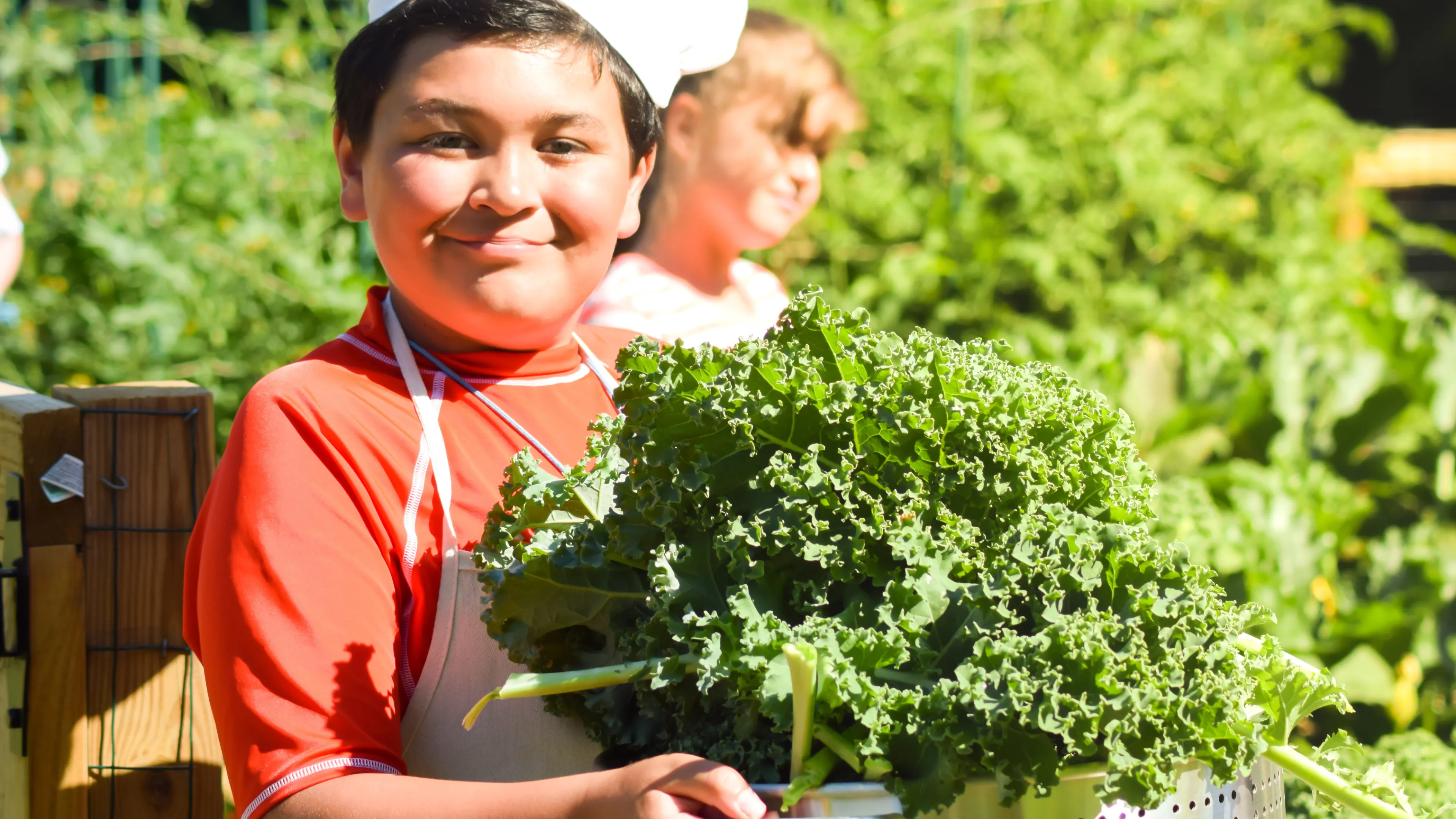Expanding food access and education