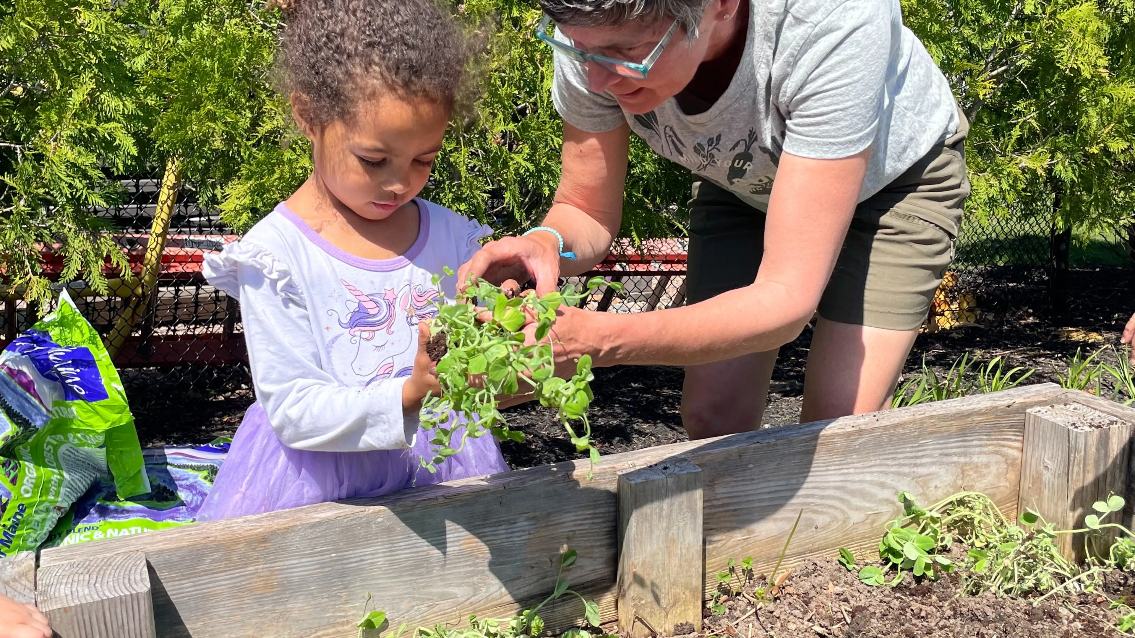 teacher showing preschool girl plants in a garden