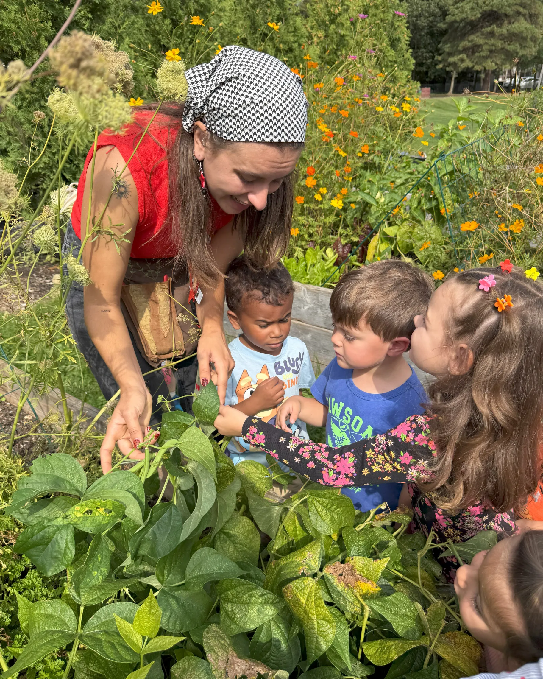 Children learn where food comes from.