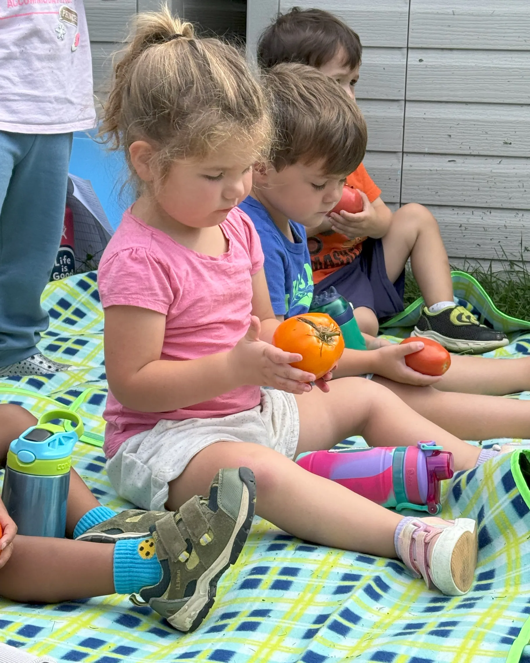 toddler holding a tomato