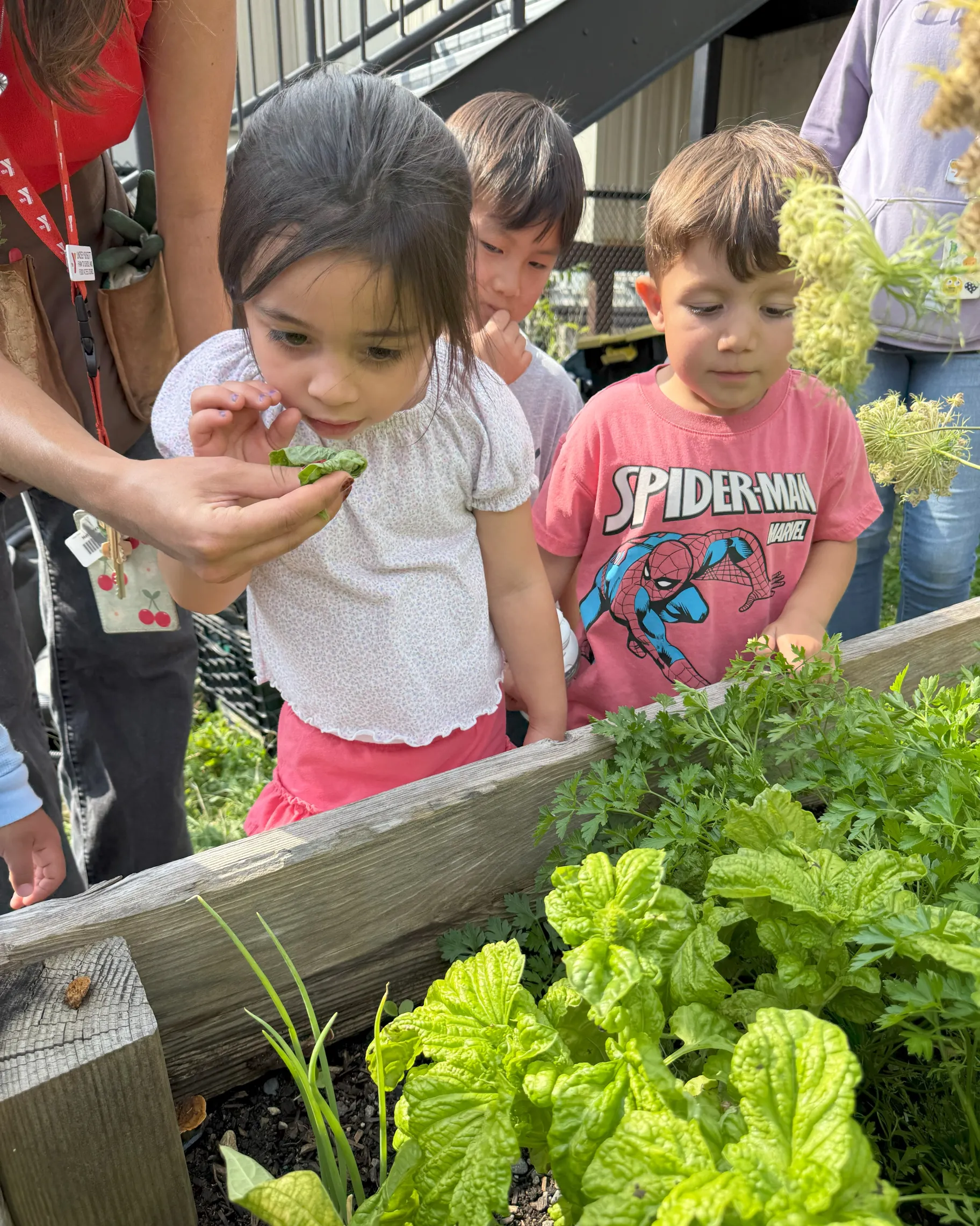 little girl smelling a plant in the garden