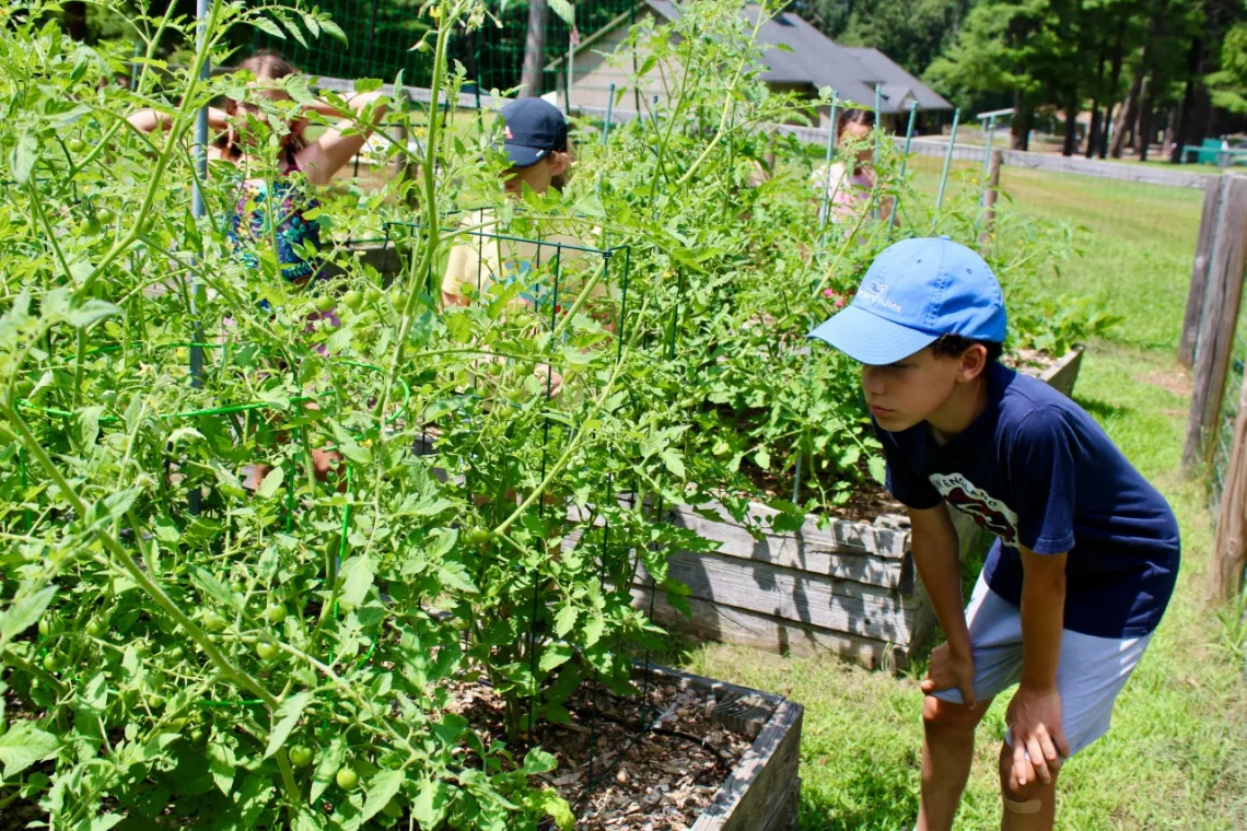 young boy looking at plants in a garden
