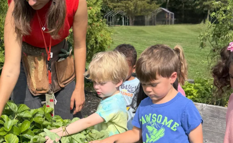 Kids learning how to grow food